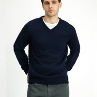 Dark Navy V-Neck Regular Fit Knitted Sweater
