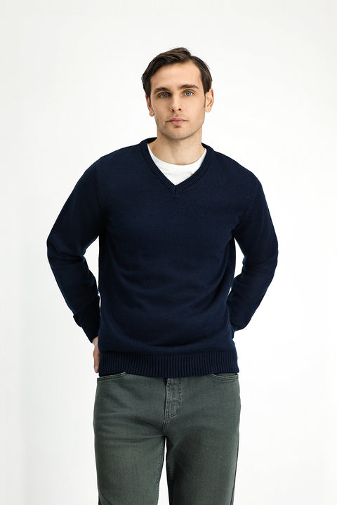 Dark Navy V-Neck Regular Fit Knitted Sweater