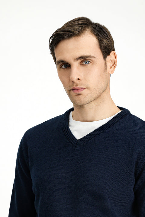 Dark Navy V-Neck Regular Fit Knitted Sweater