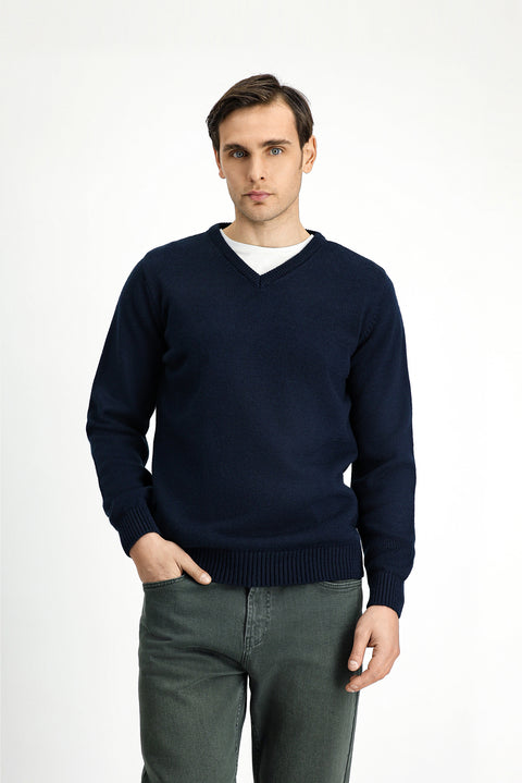 Dark Navy V-Neck Regular Fit Knitted Sweater