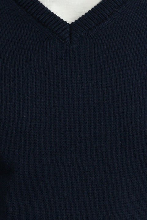 Dark Navy V-Neck Regular Fit Knitted Sweater