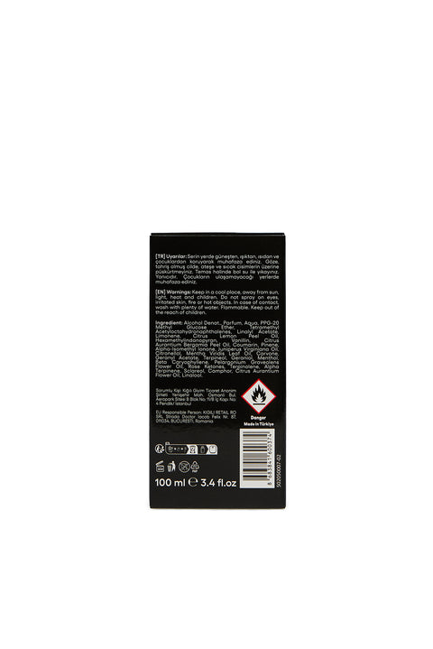 Classic Edp 100 ml Men's Perfume