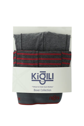  Orta Füme 2'li Desenli Pamuklu Boxer Seti-Ki??l?
