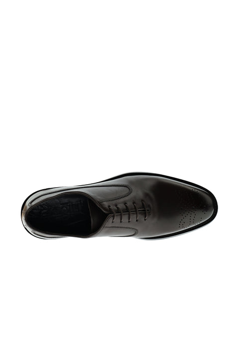 Dark Brown Classic Leather Shoes