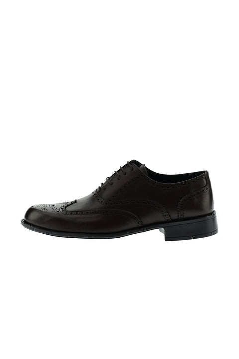 Dark Brown Classic Leather Shoes