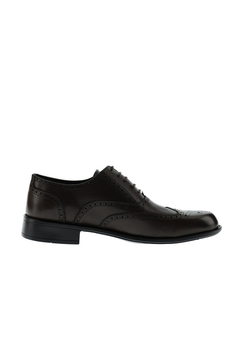 Dark Brown Classic Leather Shoes