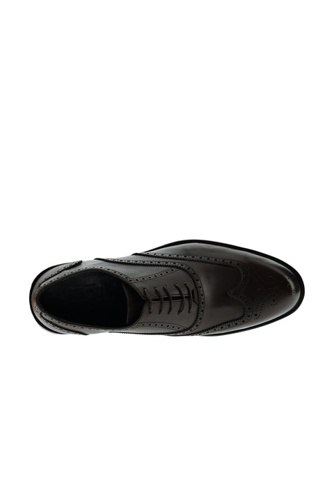 Dark Brown Classic Leather Shoes