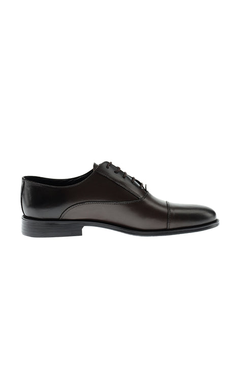 Dark Brown Classic Shoes