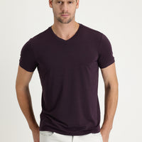Plum-colored V-neck Slim Fit Embroidered T-shirt