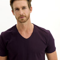 Plum V-Neck Slim Fit Narrow Cut Cotton T-Shirt