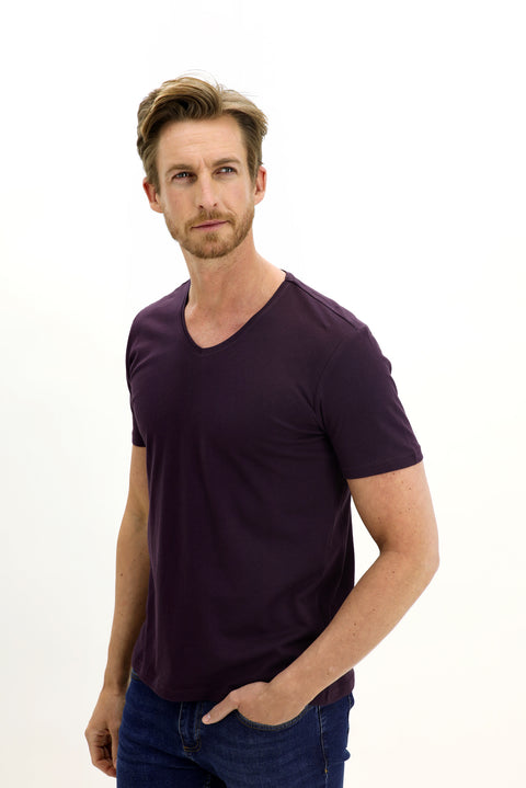 Plum V-Neck Slim Fit Narrow Cut Cotton T-Shirt