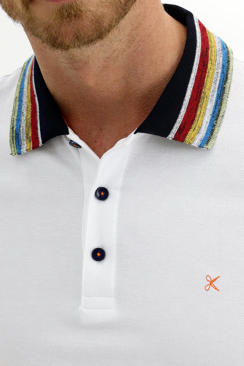 White Plus Size Polo Shirt
