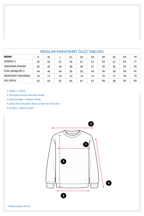 Orta Lacivert Regular Fit Kapüşonlu Pamuklu Sweatshirt
