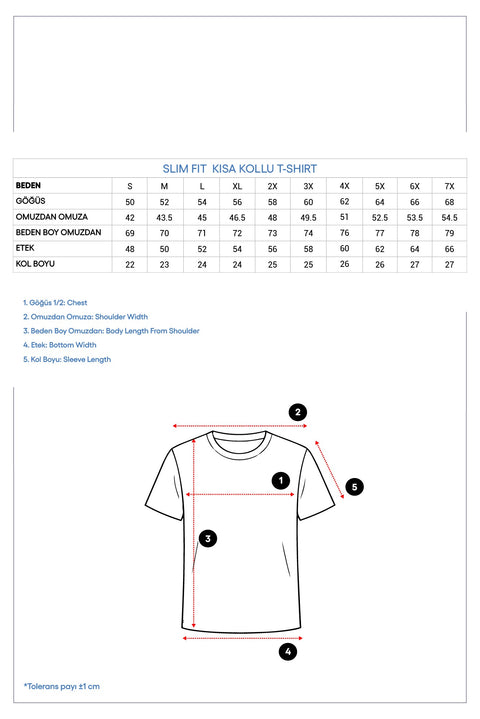 Siyah Bisiklet Yaka Slim Fit Dar Kesim Tişört