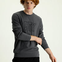 Medium Grey Crew Neck Slim Fit Embroidered Sweatshirt