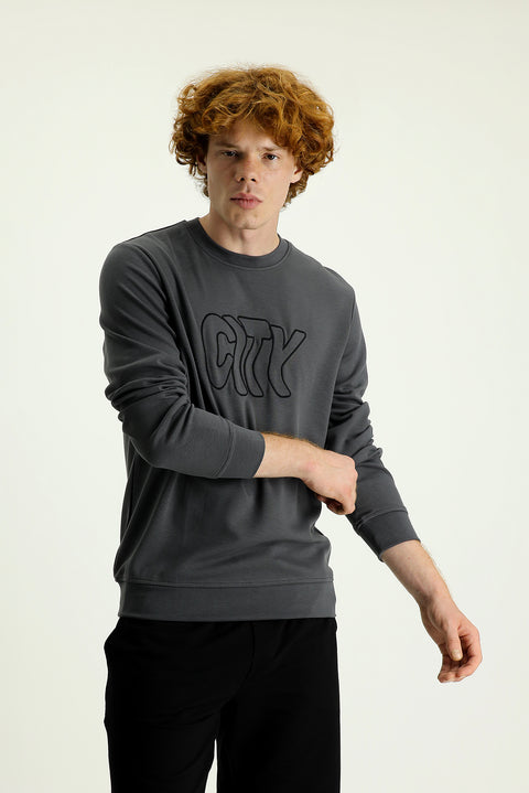 Medium Grey Crew Neck Slim Fit Embroidered Sweatshirt