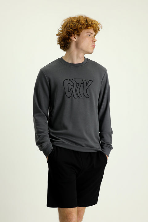 Medium Grey Crew Neck Slim Fit Embroidered Sweatshirt