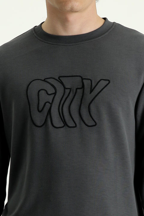 Medium Grey Crew Neck Slim Fit Embroidered Sweatshirt