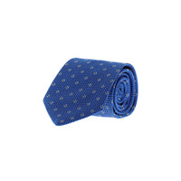 Blue Patterned Tie