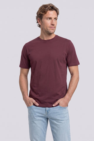  Taş-Koyu Bordo Bisiklet Yaka Regular Fit %100 Pamuk Baskılı - Düz 2'li Paket Tişört Seti