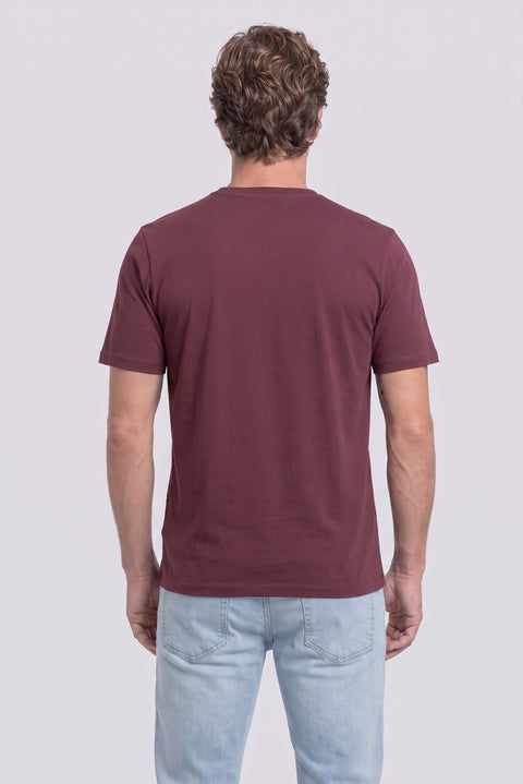 Stone-Dark Burgundy Crew Neck Regular Fit 100% Cotton Printed - Plain 2-Pack T-Shirt Set