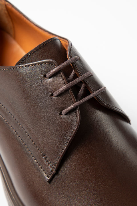 Dark Brown Classic Leather Shoes