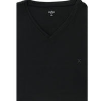 Black Plus Size V-Neck Supreme Cotton T-Shirt