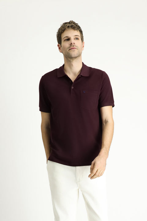 Dark Burgundy Regular Fit Embroidered Cotton Polo Shirt
